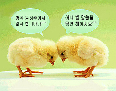 노아 이미지