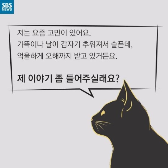 "살찐 거 아니에요 부은 거예요"(길고양이) | 인스티즈