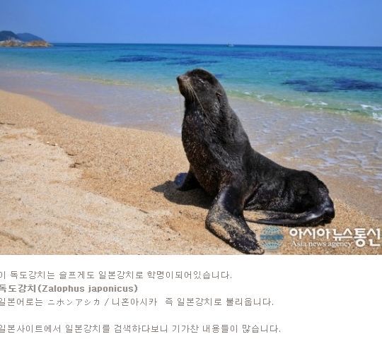 강치가 뭐게 | 인스티즈