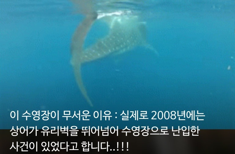 지리는 워터슬라이드 | 인스티즈