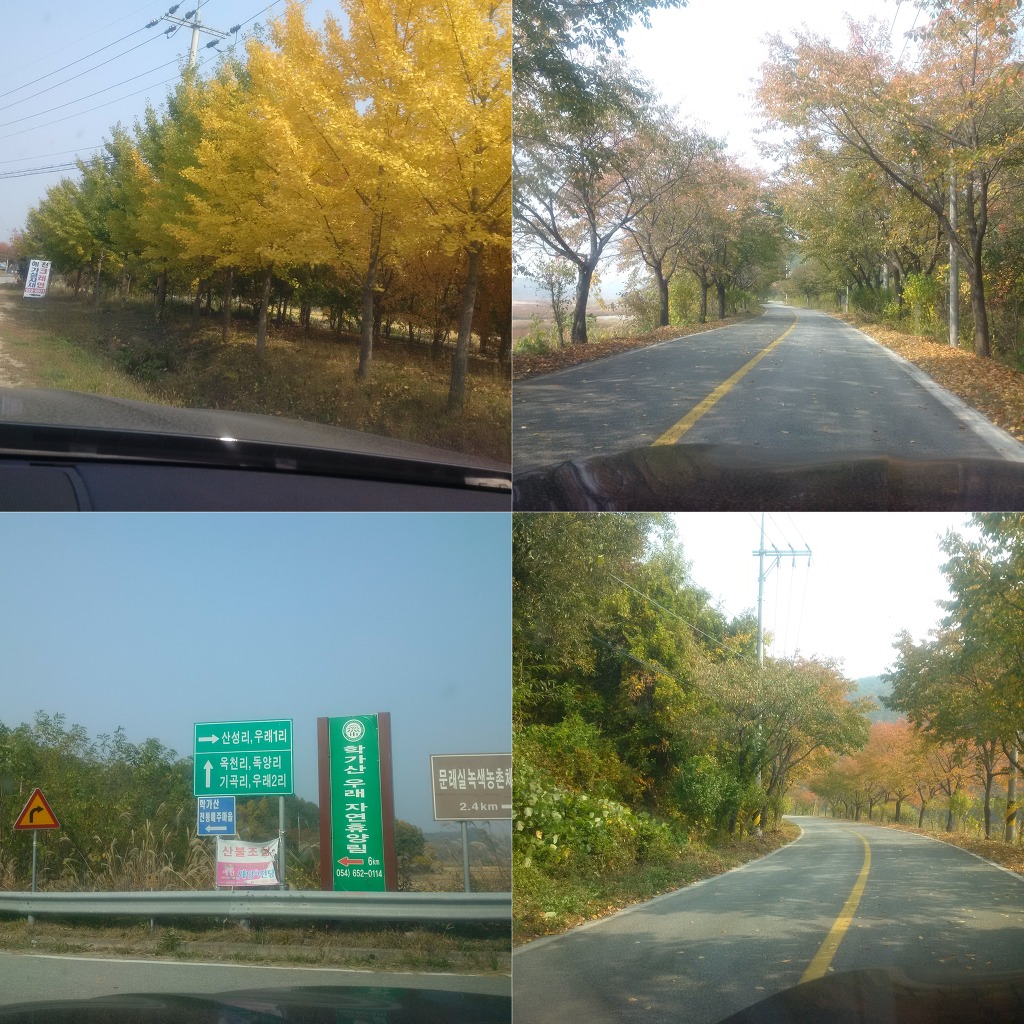 학가산우래자연휴양림 이미지