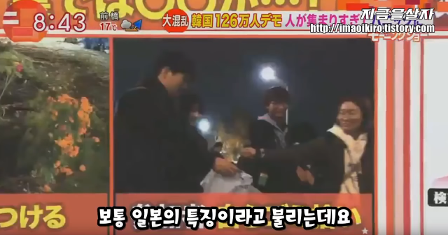 최순실 사태를 다루는 일본방송의 특징 | 인스티즈