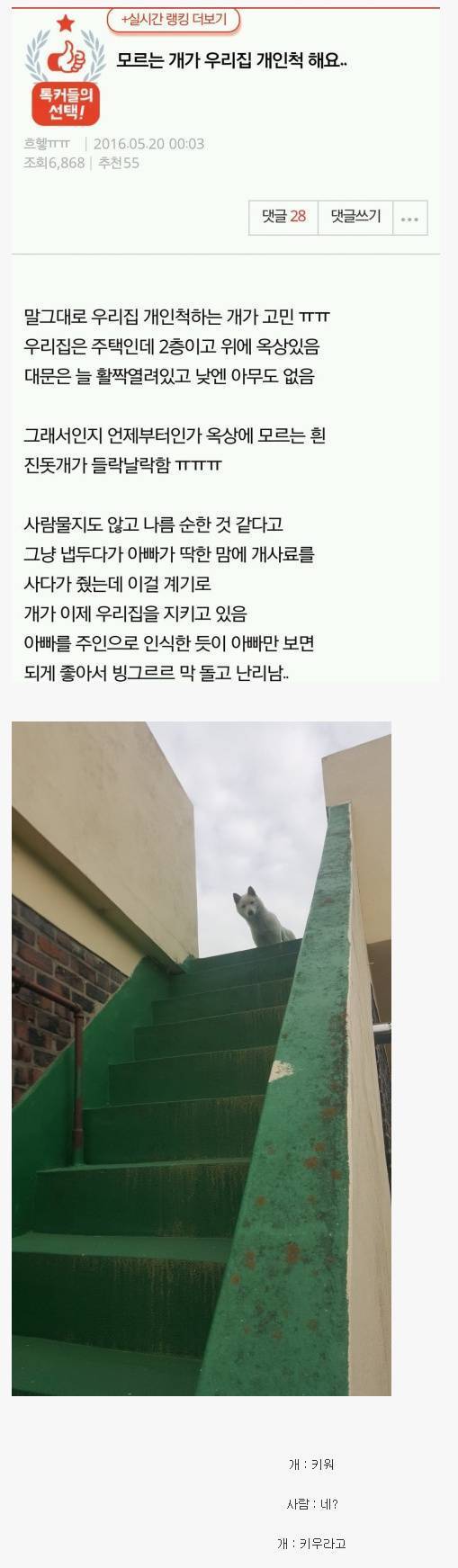 집사를 선택한 댕댕이 | 인스티즈