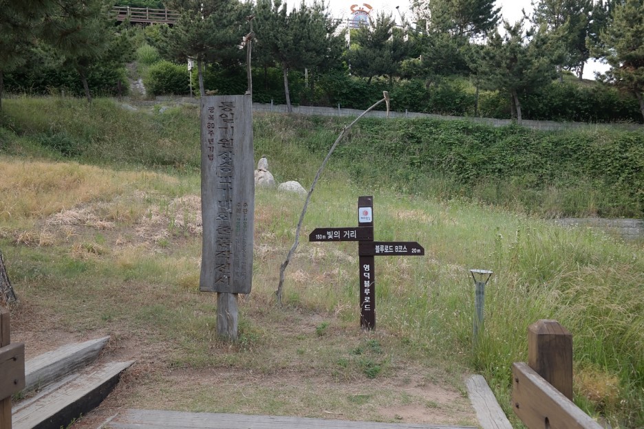 남코스5번 이미지