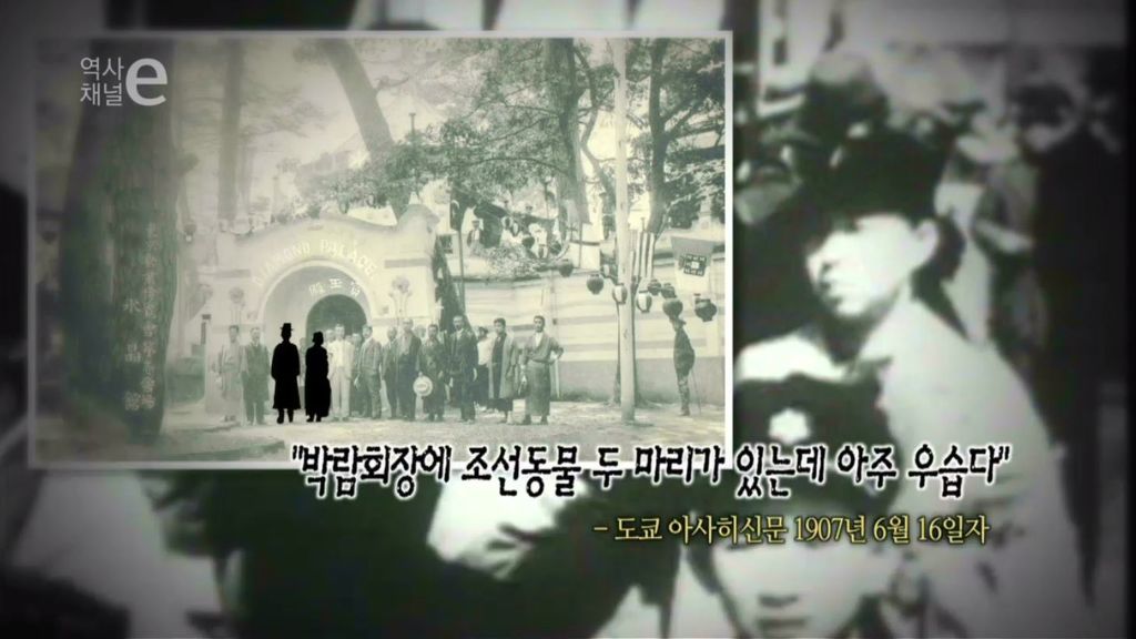 미개한 인간을 전시합니다 | 인스티즈