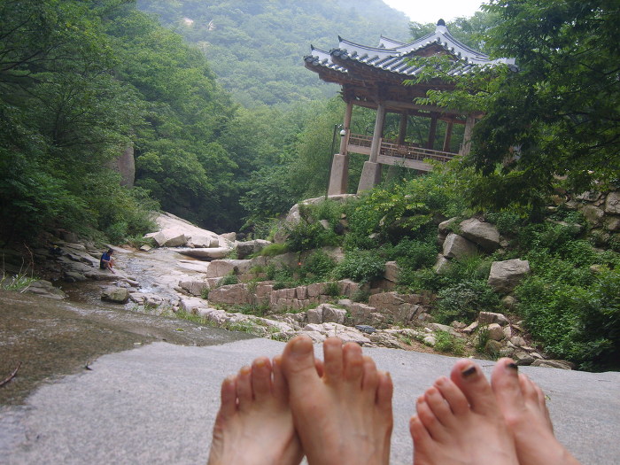 오장칠부 이미지