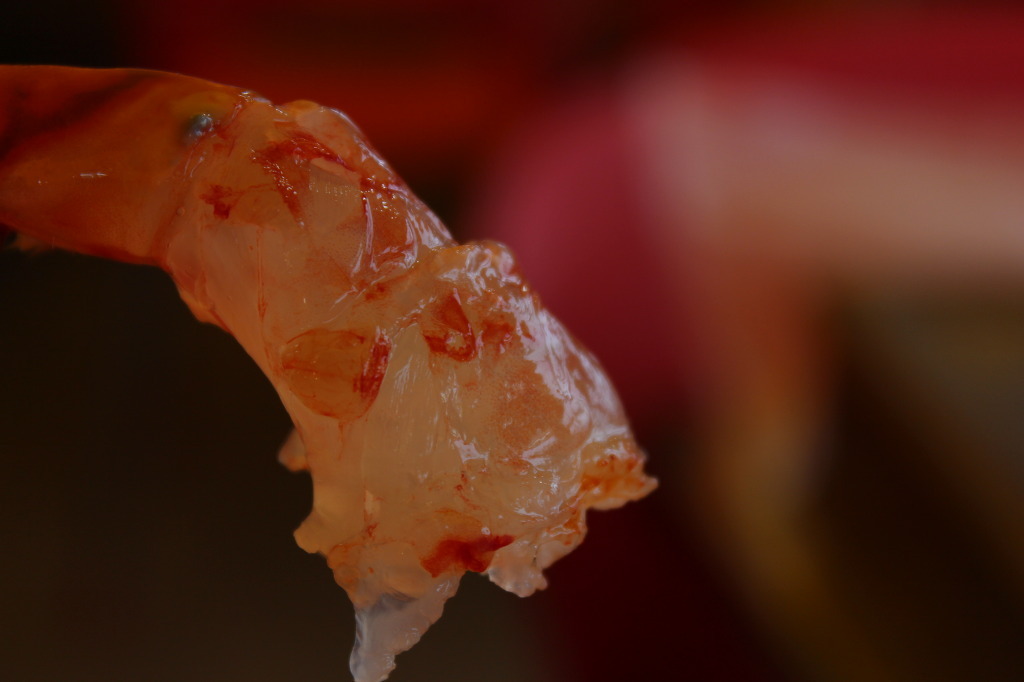 새우의 위엄.jpg | 인스티즈