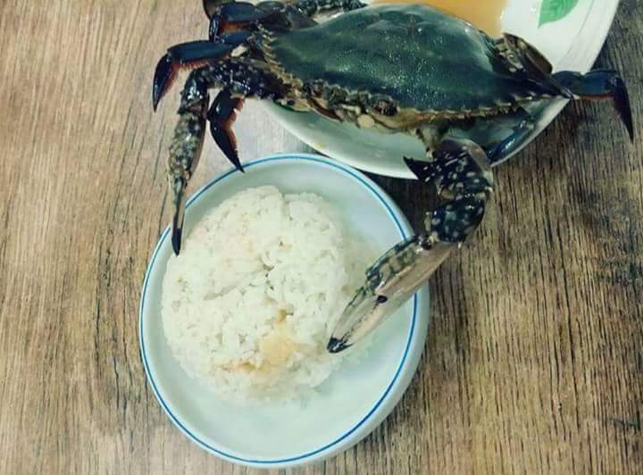 밥도둑 이미지