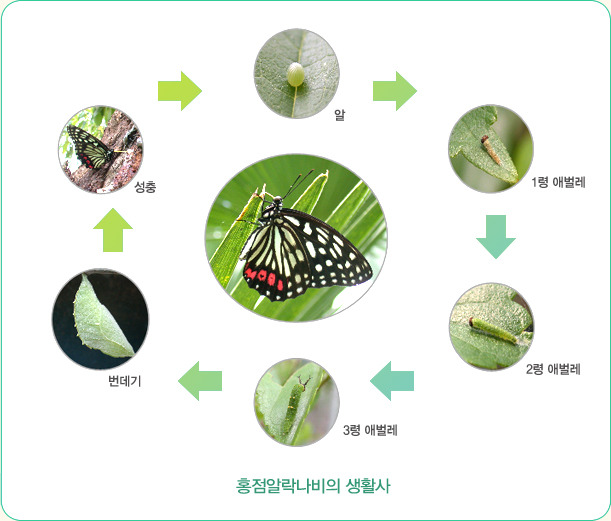 은빛유치원 이미지