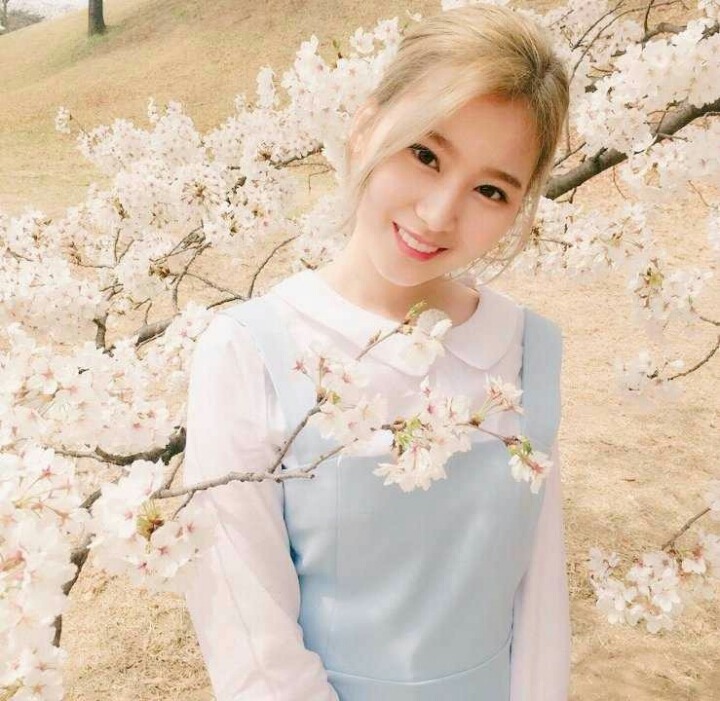 트와이스 사나 | 인스티즈