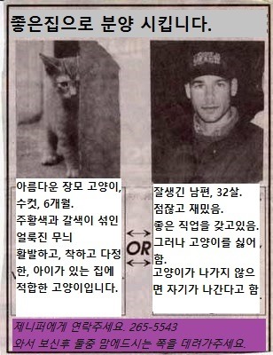 고양이를 싫어하던 남편때문에 고양이분양 광고 낸 아내 | 인스티즈