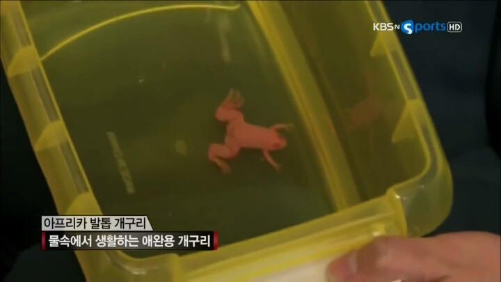 개구리 이름 지은 배유나.JPG | 인스티즈
