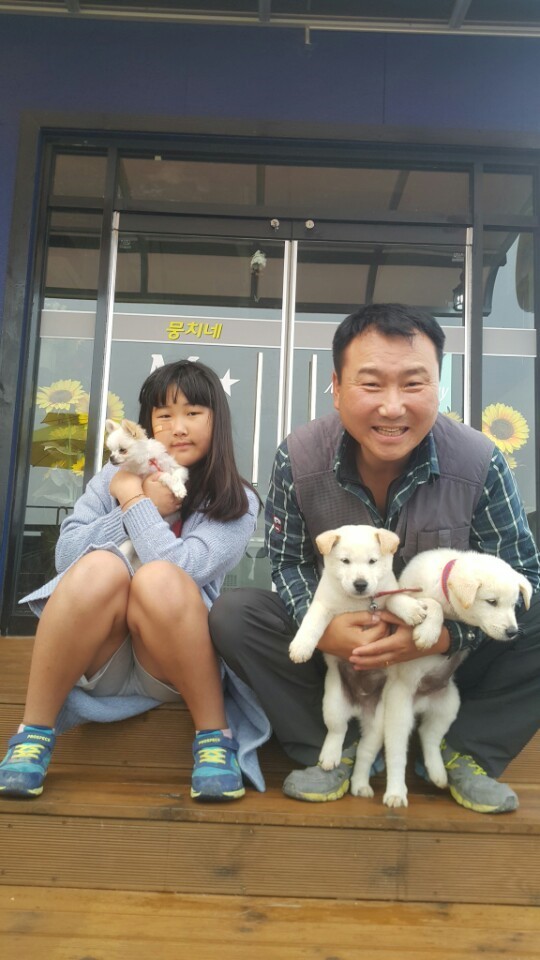 개소주가 되어 주인품으로 돌아온 매실이. 매실이는 이쁘고 영리하지만 겁도많은 소중한 가족이었습니다 | 인스티즈
