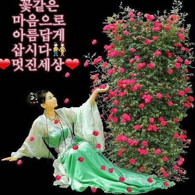 예쁜여우 이미지