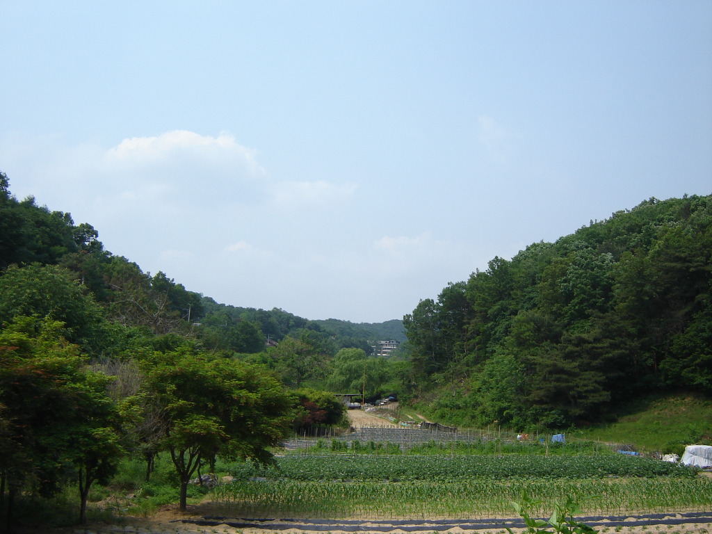 향수산 정상 이미지