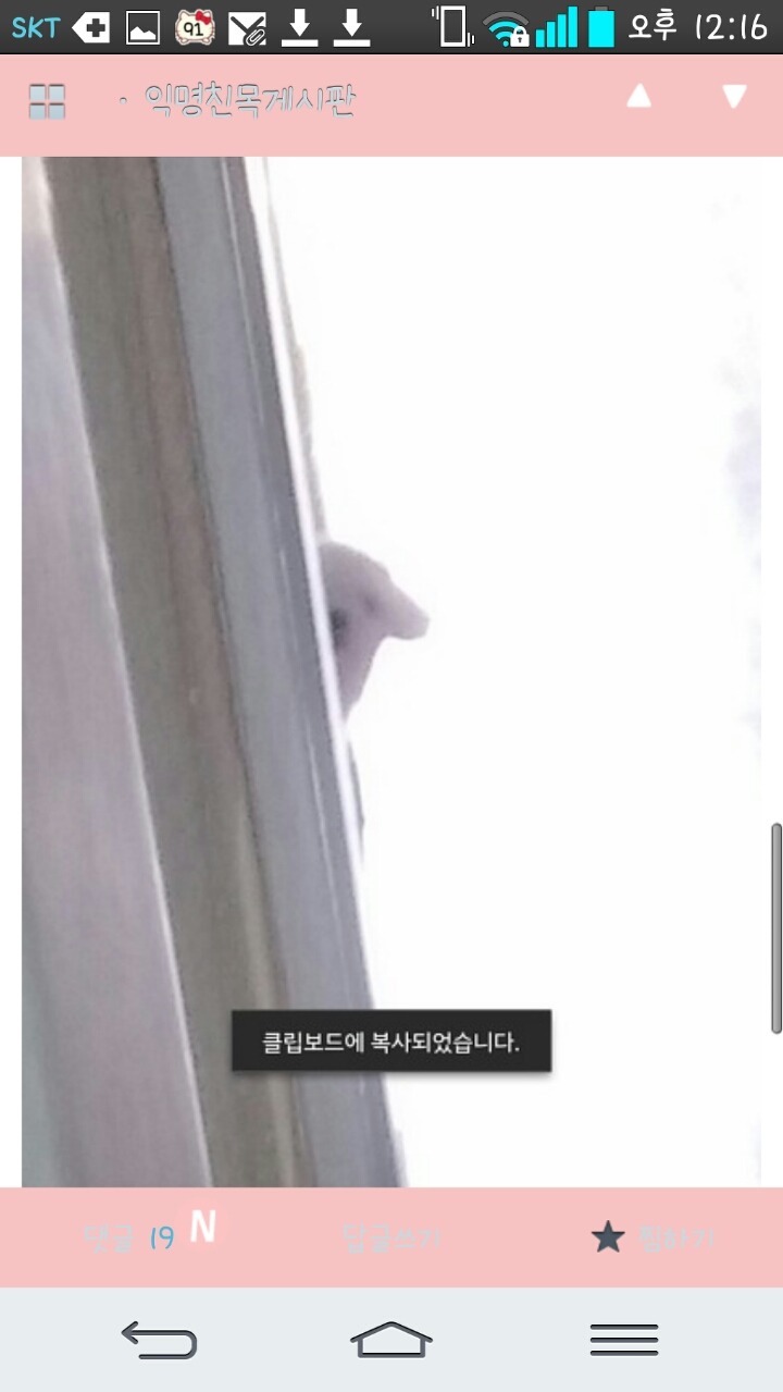 평화로운 익친이네 개들.jpg | 인스티즈