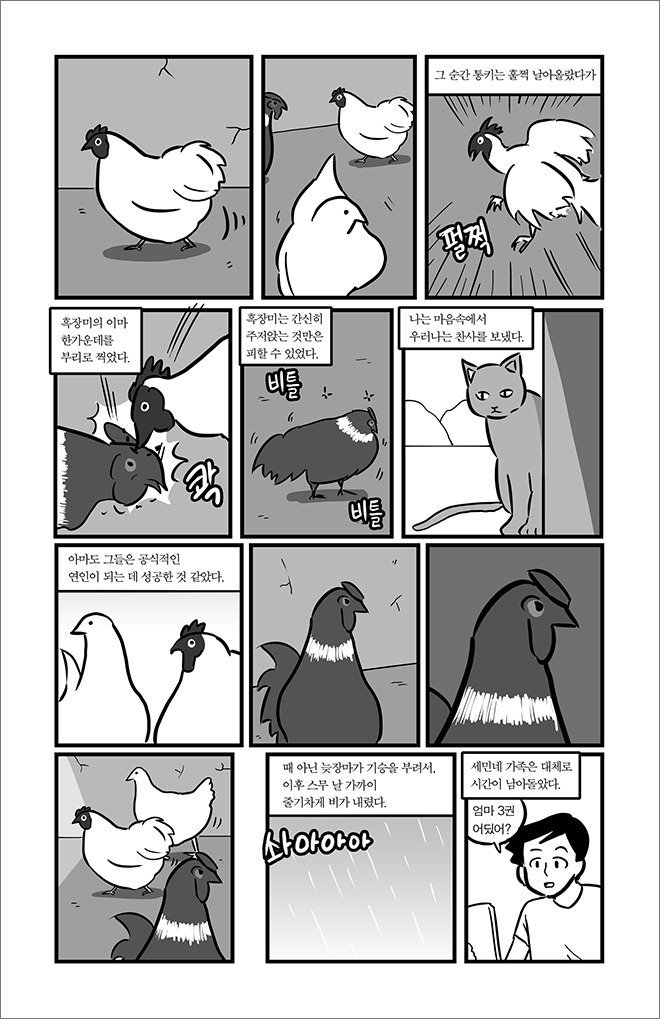묘생만경 | 인스티즈