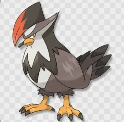 [포켓몬] 포켓몬 레이팅 배틀 역사상 유례없는 역대급 극악무도한 포켓몬 | 인스티즈