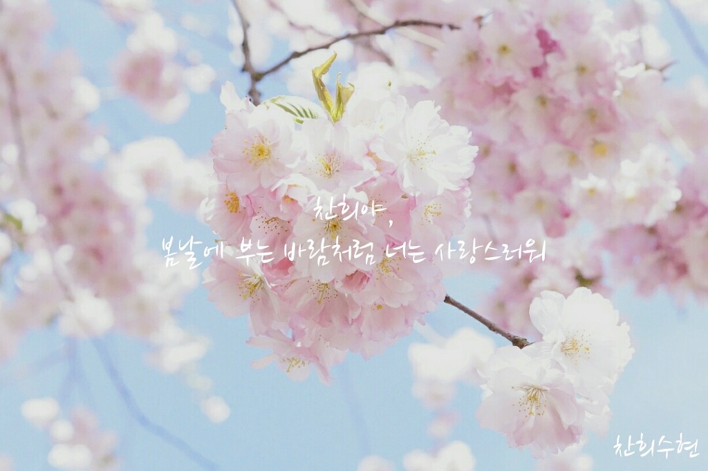 오십오 이미지