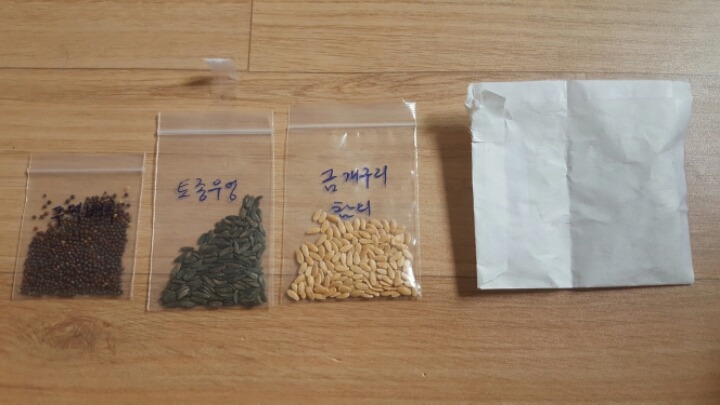 꼬사랑 이미지