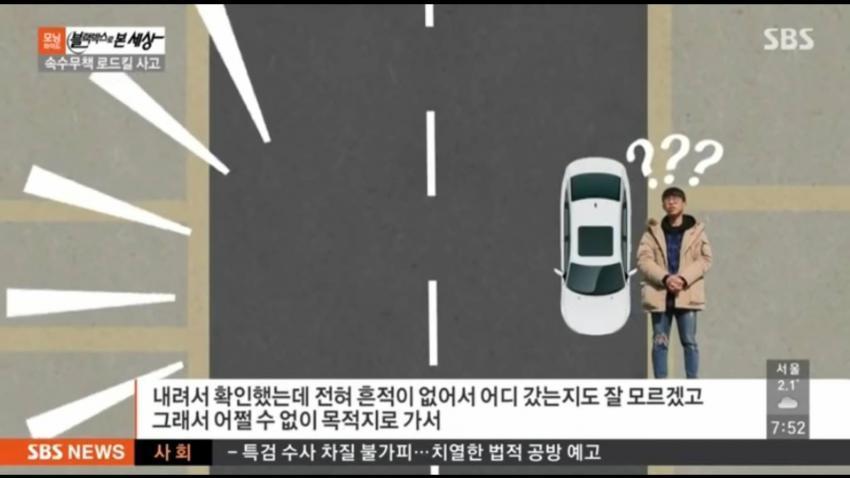 강아지 로드킬 . jpg | 인스티즈