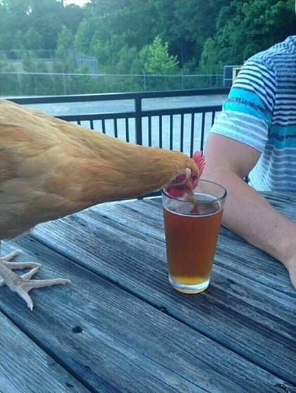 치맥한잔 이미지
