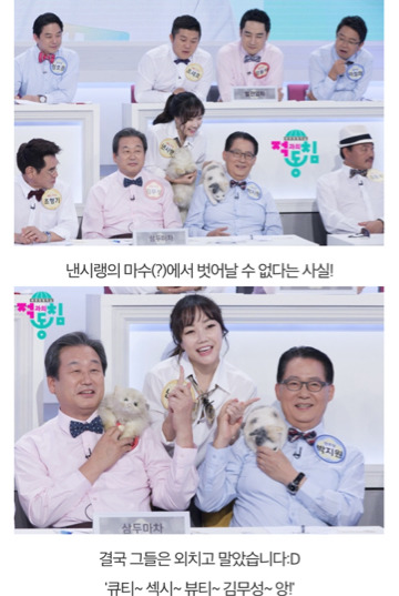 다시는 나올 수 없는 전무후무한 예능.jpg | 인스티즈