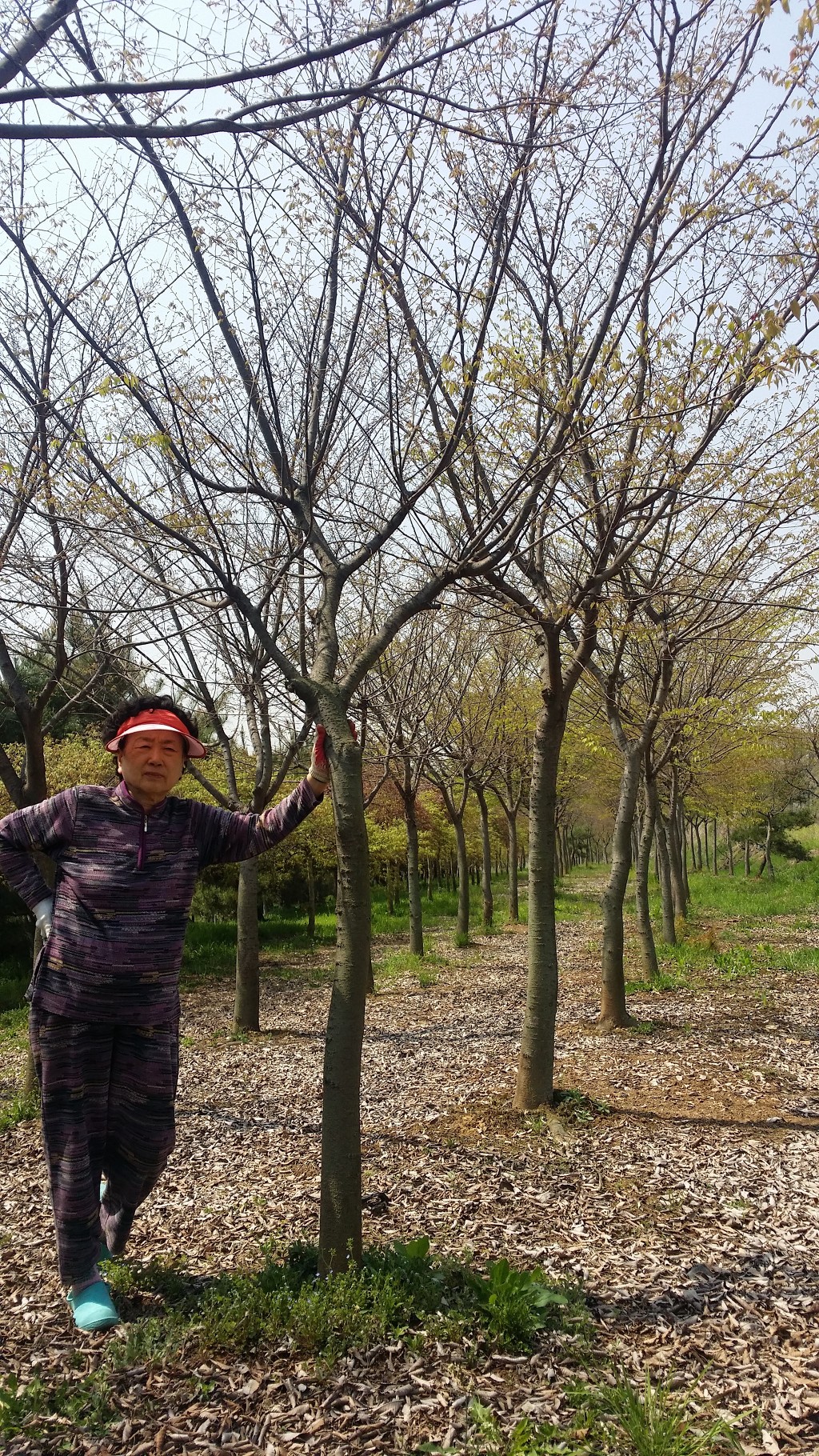 삼송농원 이미지