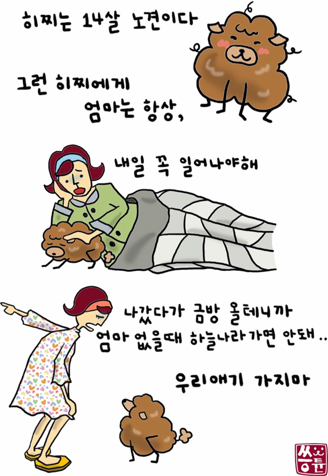 댕댕이들 키우는 분들 공감할 만화 ㅠㅠ | 인스티즈