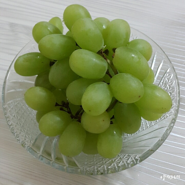 차한잔 하세요 | 인스티즈