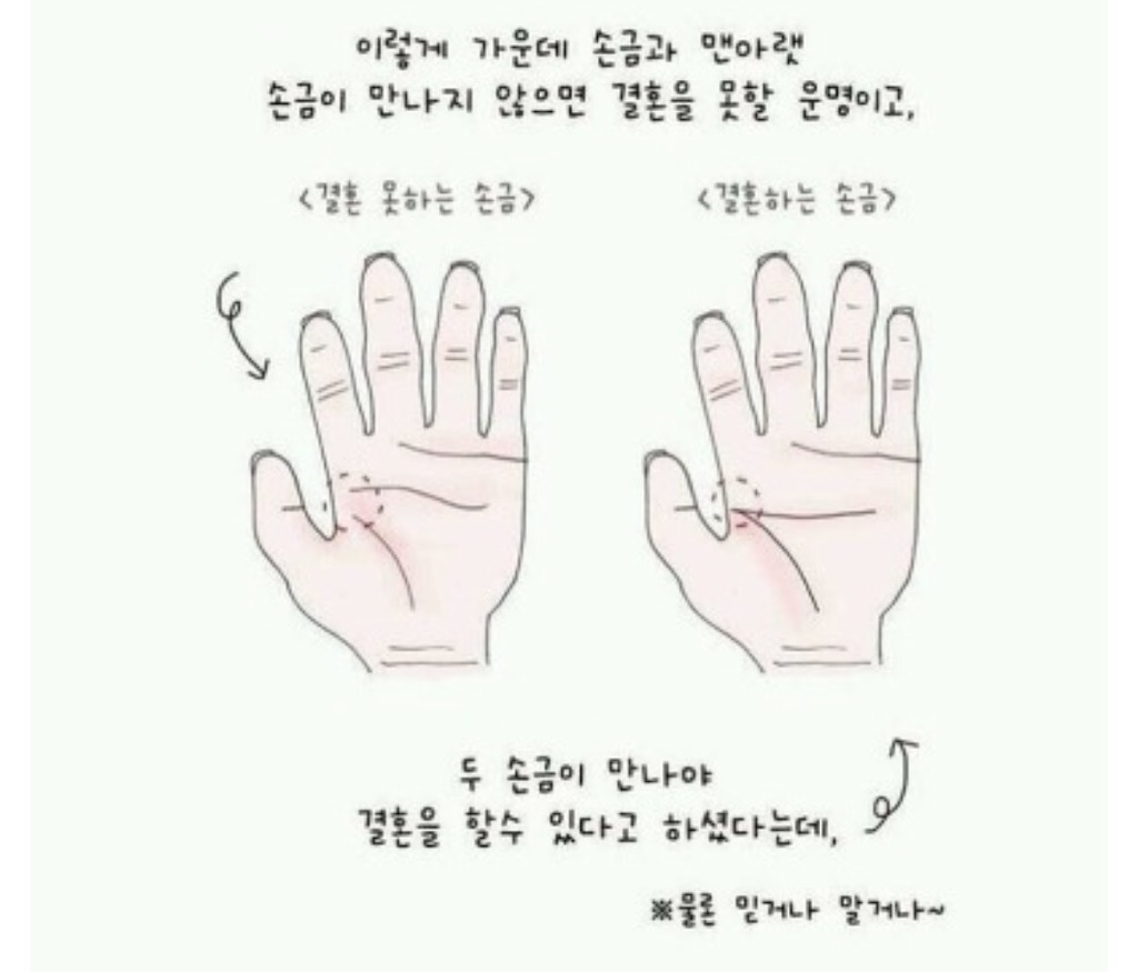 결혼하는 손금과 못하는 손금 | 인스티즈