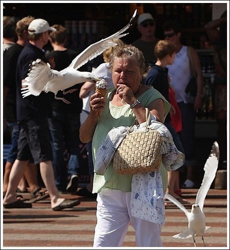 사람들 등는 갈메기 | 인스티즈