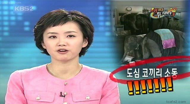 허언증 레전드 | 인스티즈