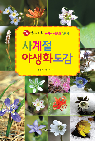 사계절야생화 이미지