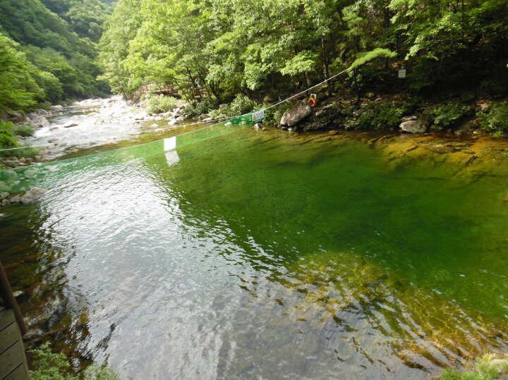 지라산 이미지