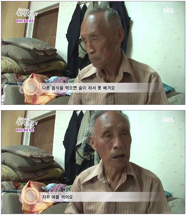 세상에 이런일이 - 길 위에 효자형제 (사이다형제) | 인스티즈