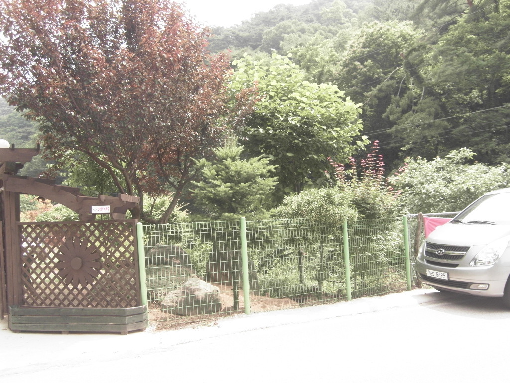 힐링충주 이미지