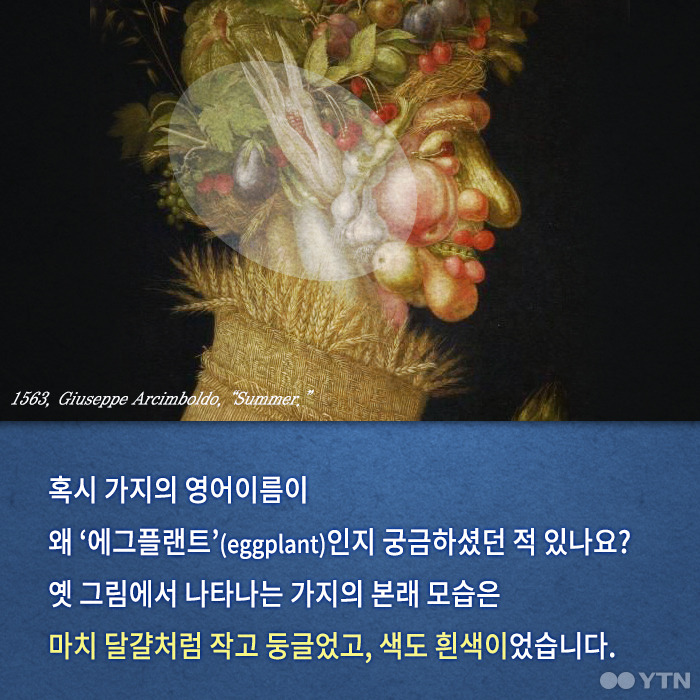 당신이 모르는 수박의 숨겨진 과거 | 인스티즈