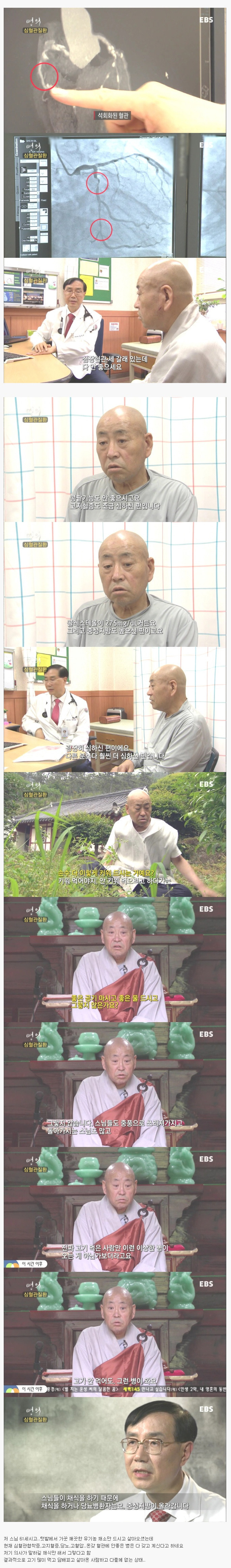 채식만 하는게 몸에 좋은건가 | 인스티즈