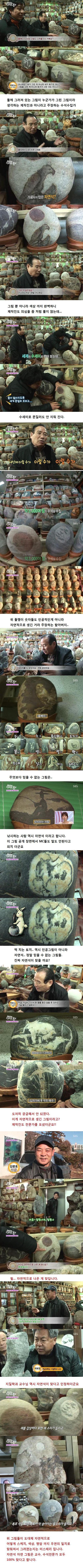 세상에 이런일이 수석수집가 | 인스티즈