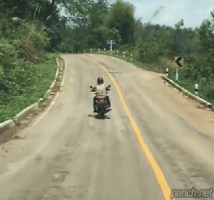 시골도로 에서 뱀이 사람을 노리고 이대로 가면 | 인스티즈