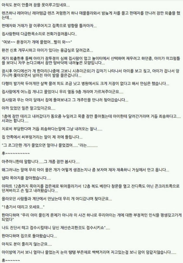 아이를 문 개를 12층에서 던져버렸습니다. +) 주작이라고 함 | 인스티즈