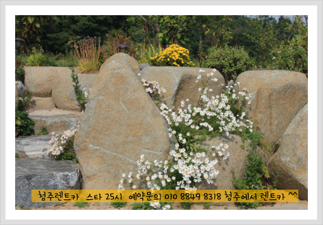 25시카써비스 이미지