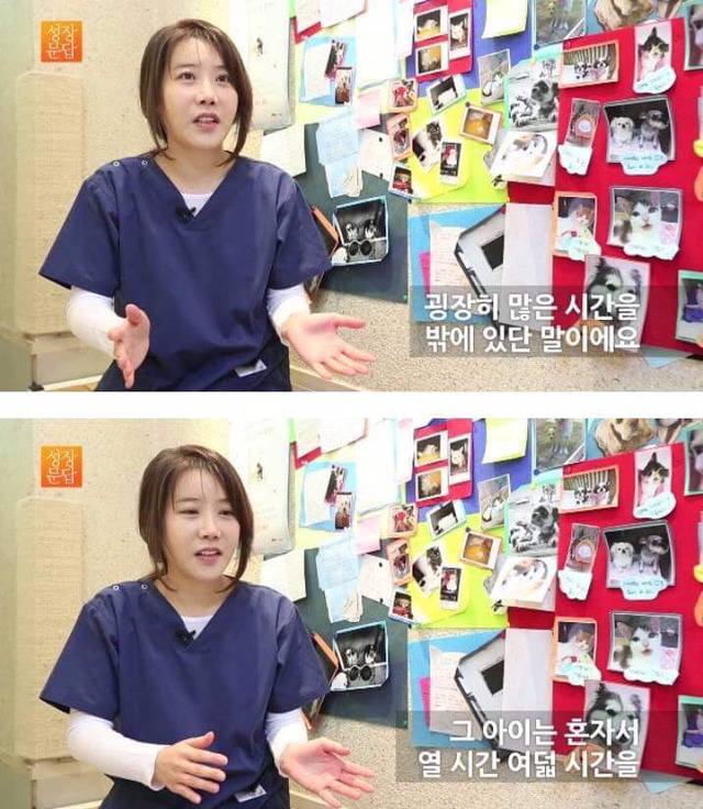동물을 좋아하는 사람이 동물을 버린단 말이에요 | 인스티즈
