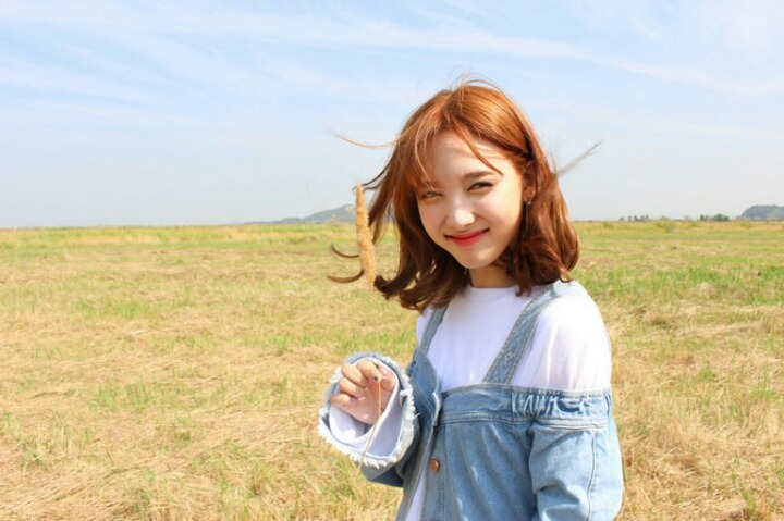 아이린 vs 나연 | 인스티즈