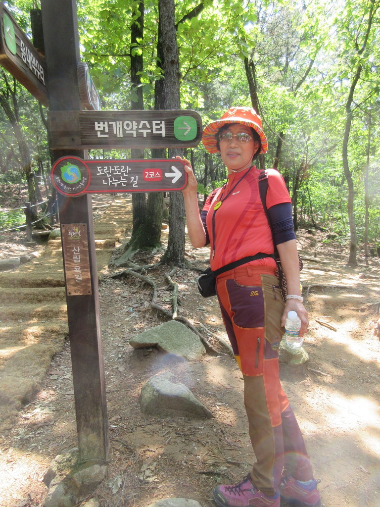 이삐 이미지