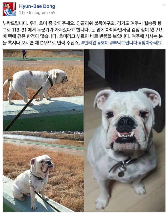 키우던 강아지 도둑 맞은 빅뱅 태양.jpg | 인스티즈