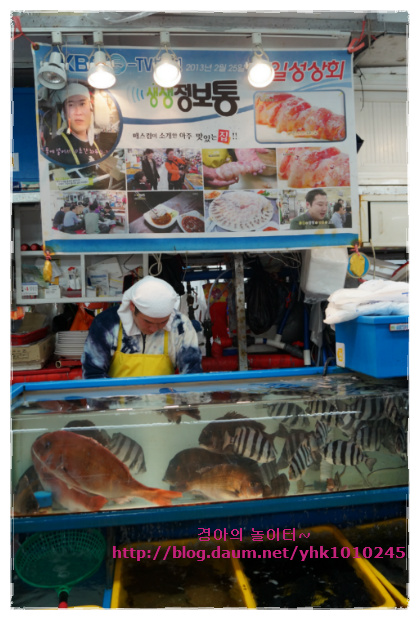 일성상회 이미지