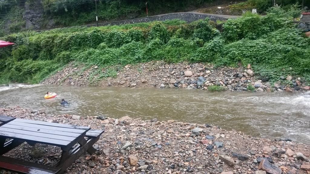사단법인 양산학춤보존회 이미지