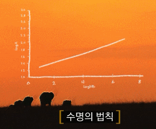 별 걸 다 통일시킨 우주 만물의 이치.jpg | 인스티즈